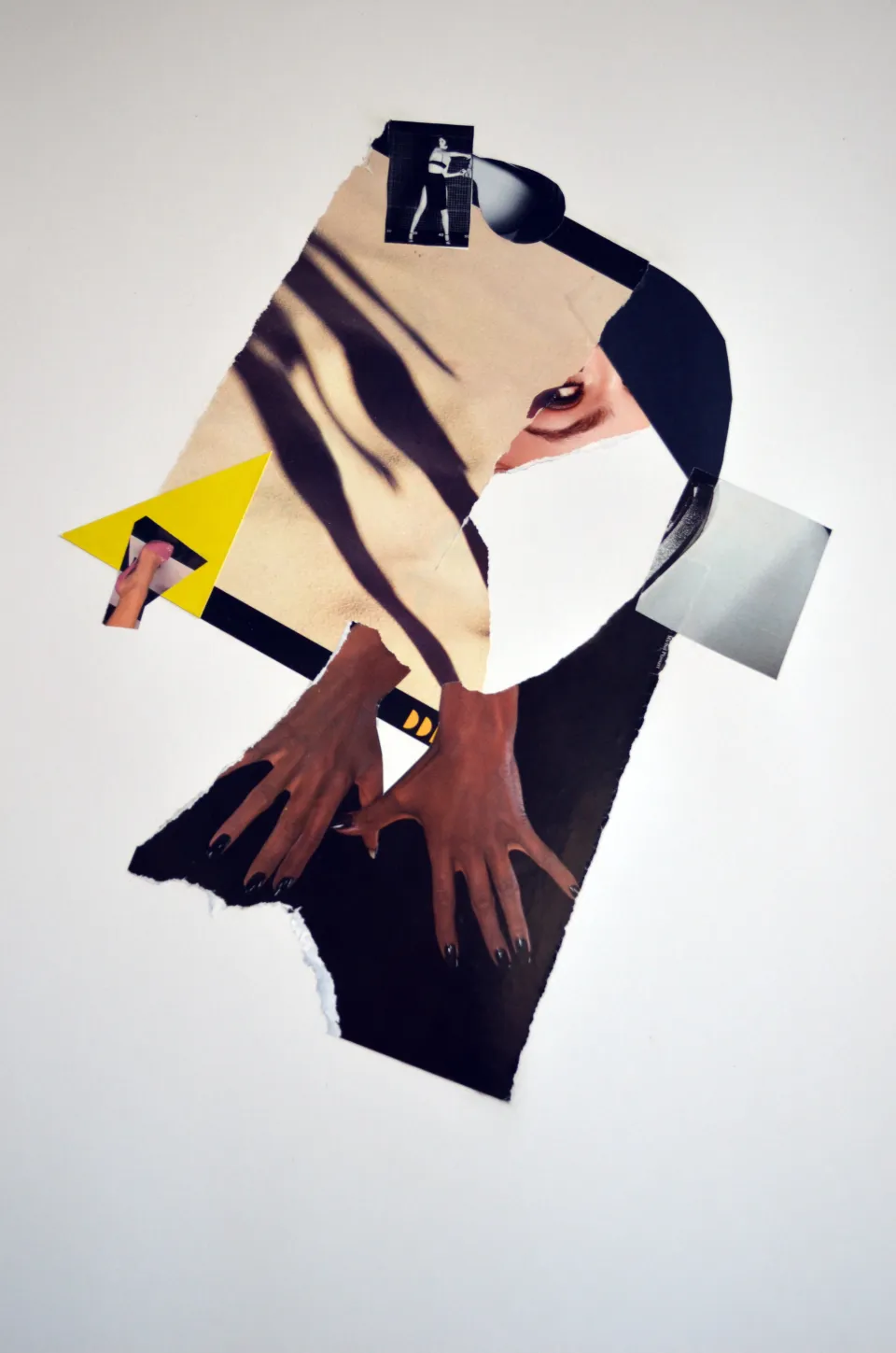 collage janvier 1.jpg