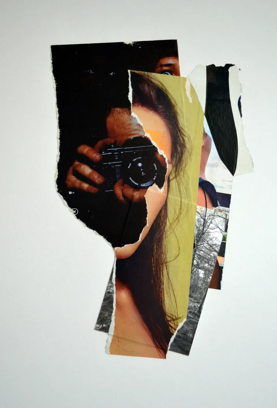 collage janvier 10.jpg