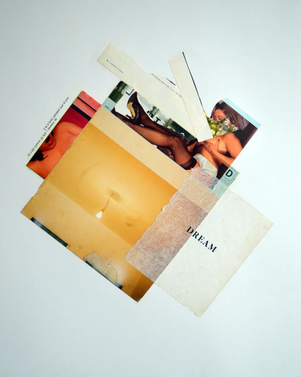 collage janvier 12.jpg