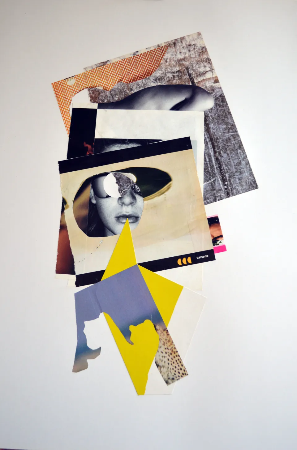 collage janvier 2.jpg