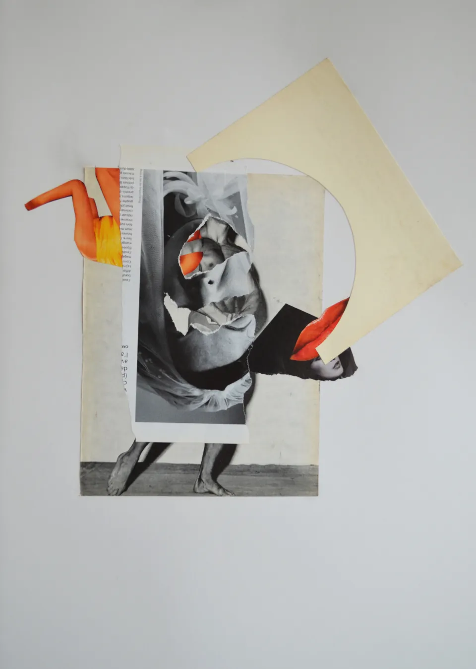 collage janvier 6.jpg