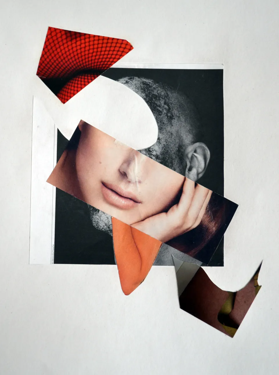 collage janvier 8.jpg