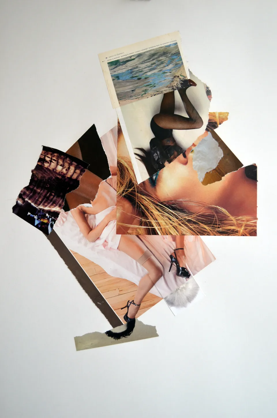collage janvier 9.jpg
