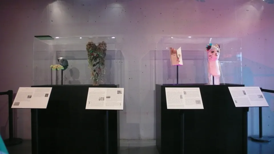 Masque de catcheurs, expo en collaboration avec Emmanuel Guise et Jolie Julien.