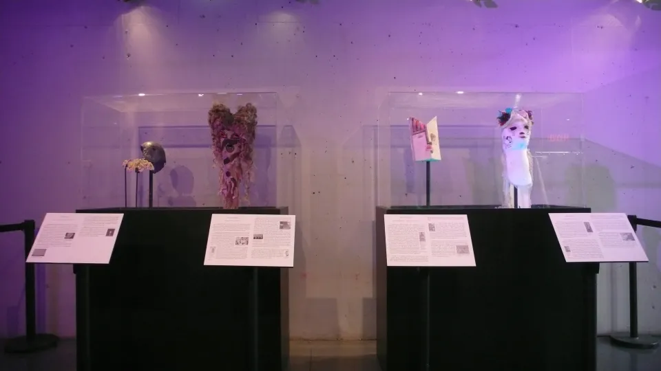 Masque de catcheurs, expo en collaboration avec Emmanuel Guise et Jolie Julien.