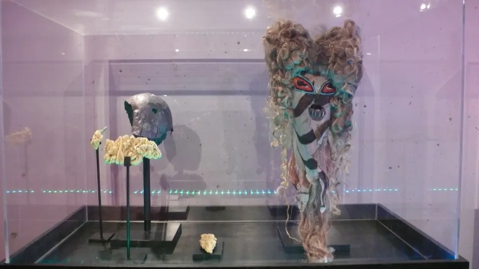 Masque de catcheurs, expo en collaboration avec Emmanuel Guise et Jolie Julien.