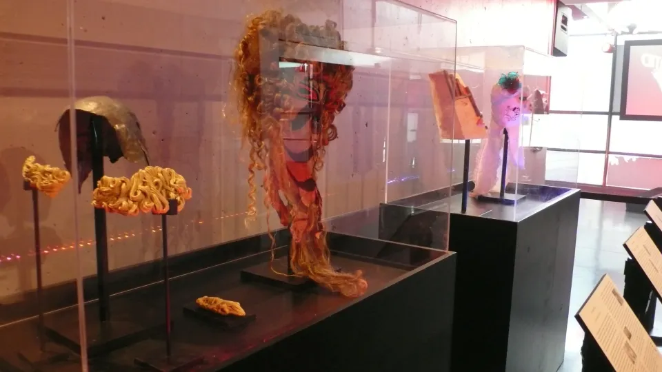 Masque de catcheurs, expo en collaboration avec Emmanuel Guise et Jolie Julien.