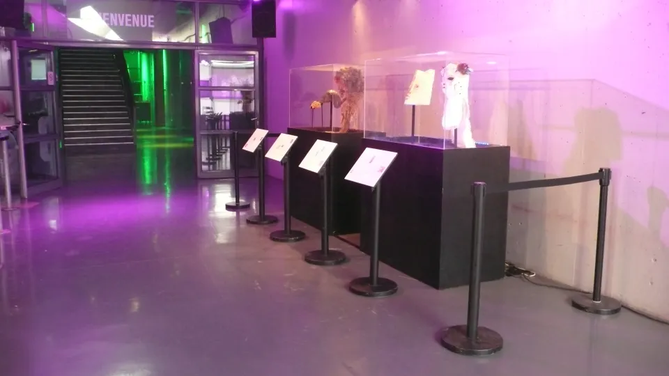 Masque de catcheurs, expo en collaboration avec Emmanuel Guise et Jolie Julien.